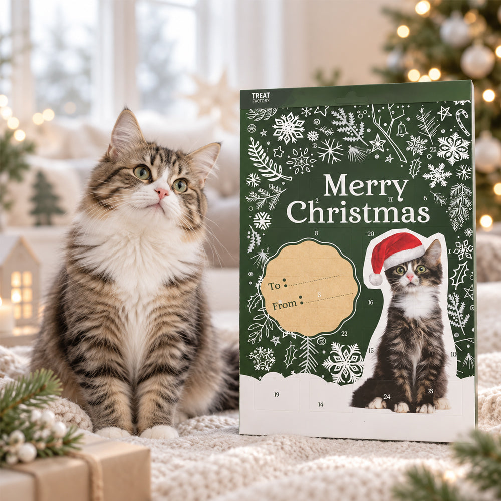 Julkalender för Katter – 24 Luckor med Läckra Godbitar