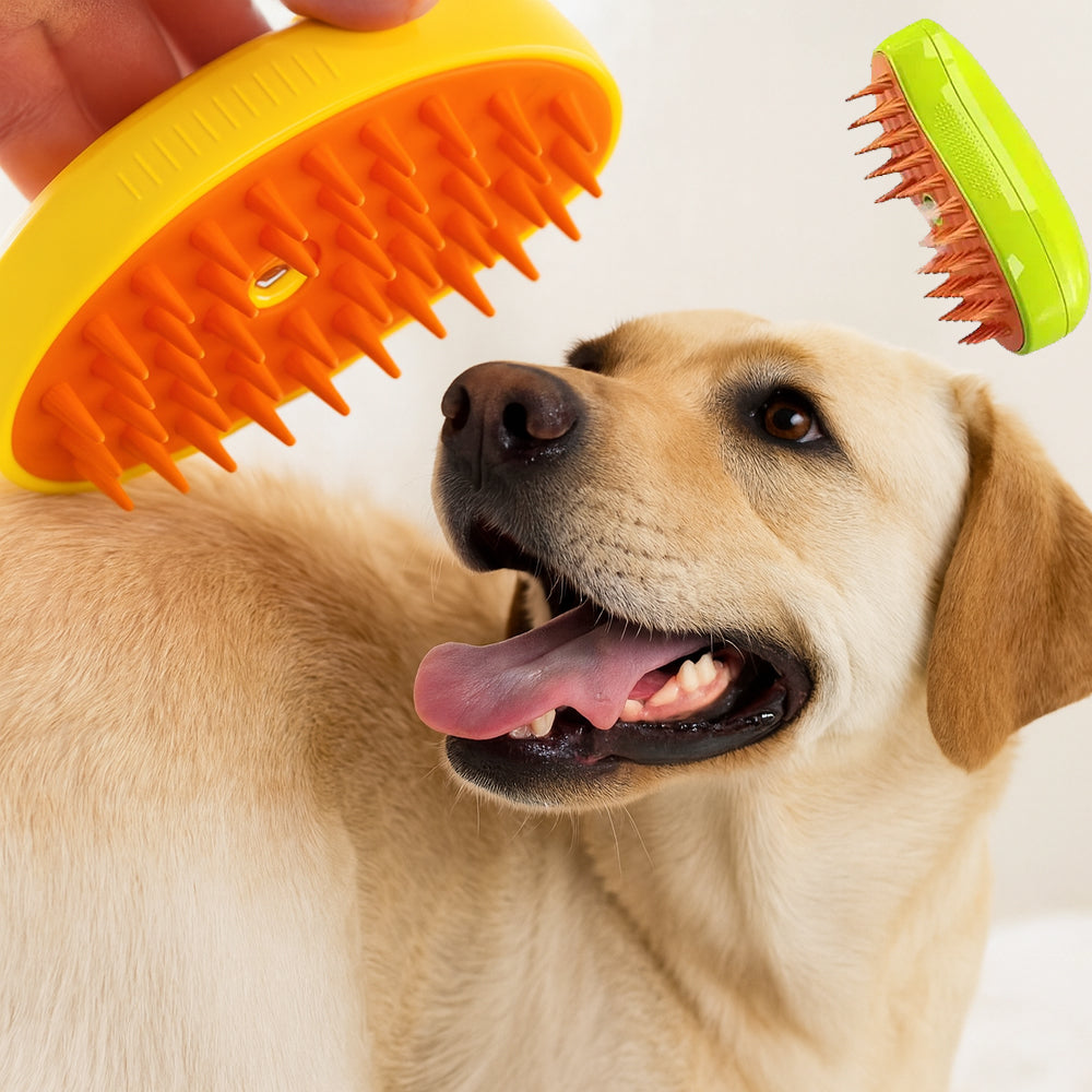 Hund- och Kattborste 3-i-1 med Sprayfunktion & Massage
