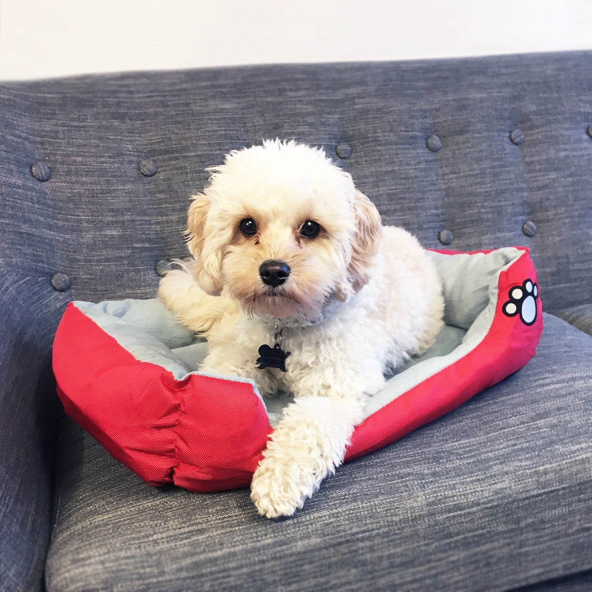 Hund/kattkorg 55 – 80 cm flera färger