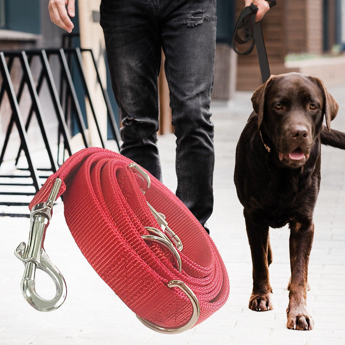 Hundkoppel Bred Nylon