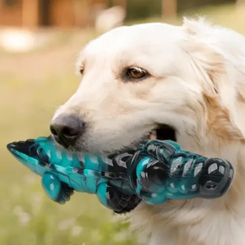 Krokodil Tuggleksak för Hundar – Extremt Hållbar och Tandrensande