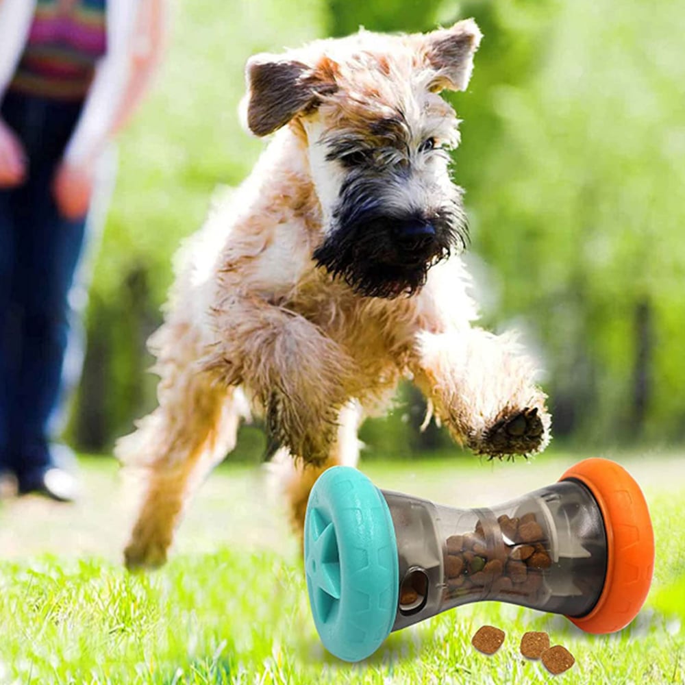 Hundgodis aktivitetsleksak för godis