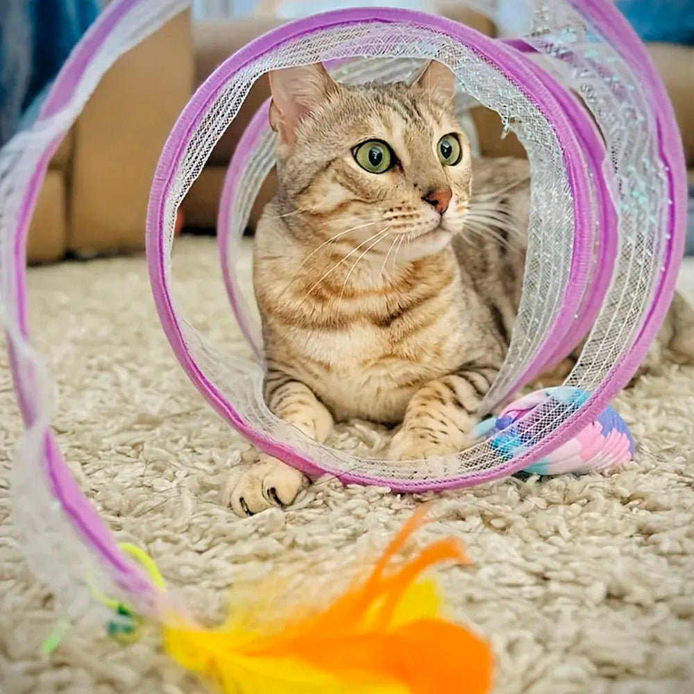 Kattunnel med mus och klocka