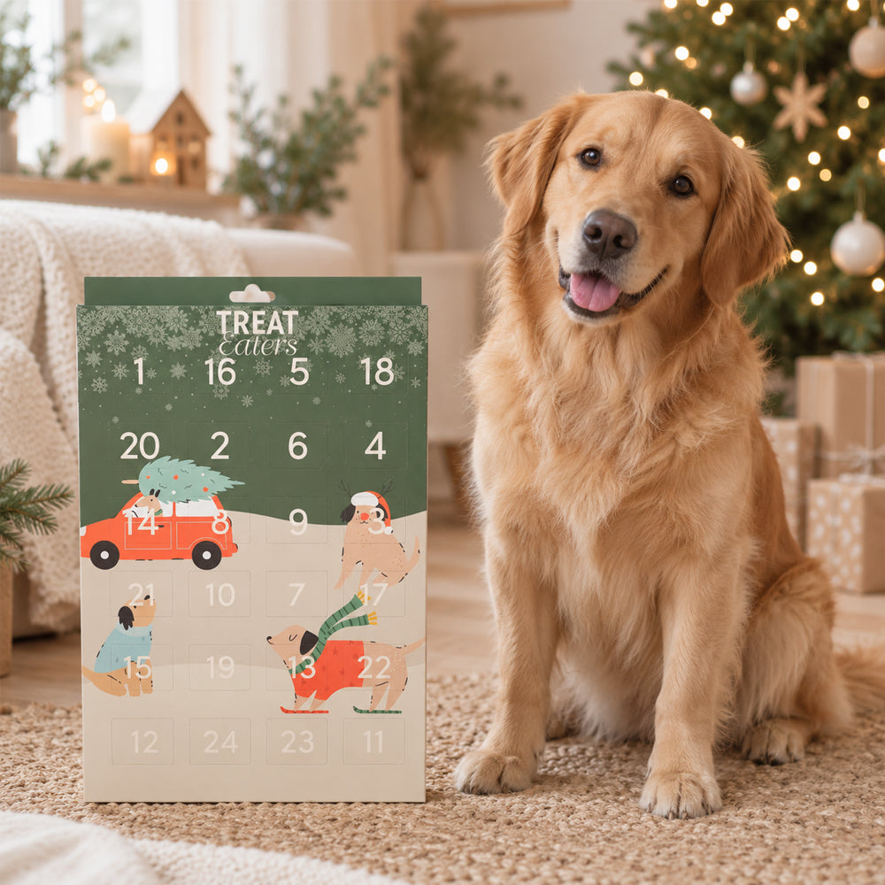 Julkalender för Hundar – 24 Luckor med Mini Treats