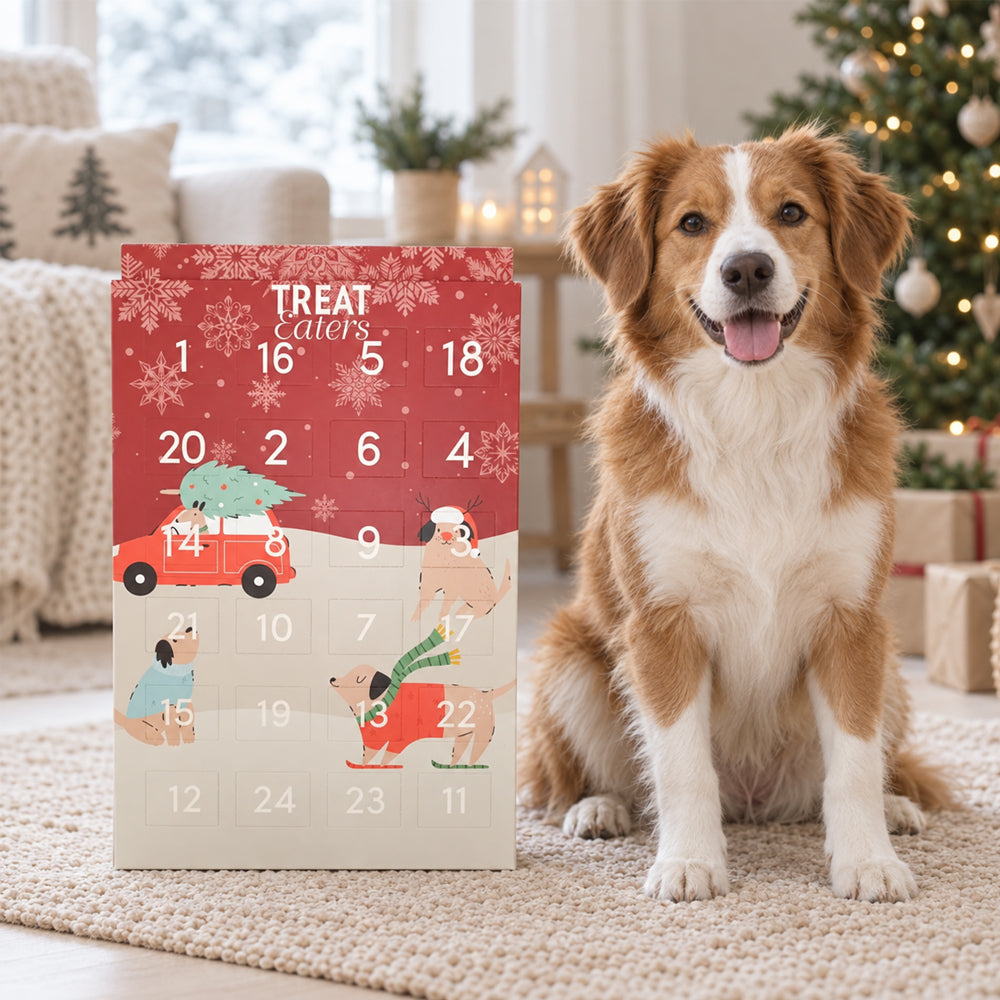 Julkalender för Hundar – 24 Luckor med Små Tuggben