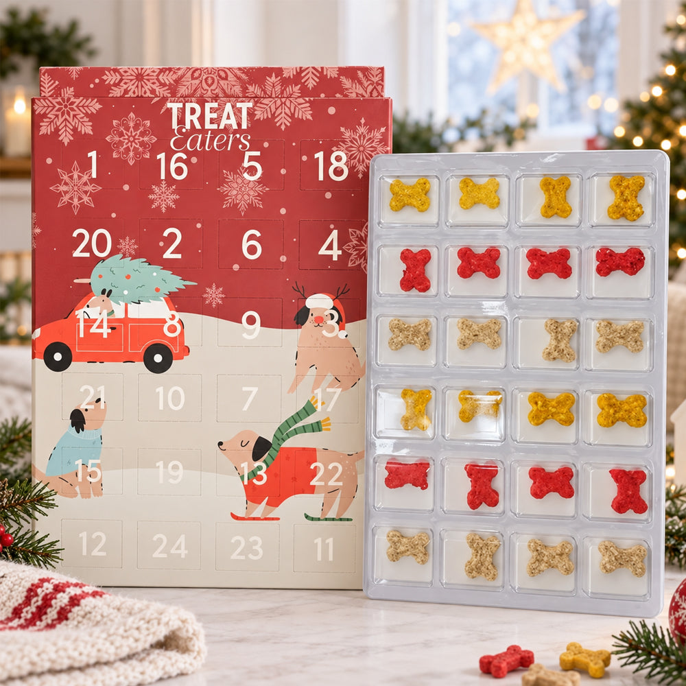 Julkalender för Hundar – 24 Luckor med Små Tuggben