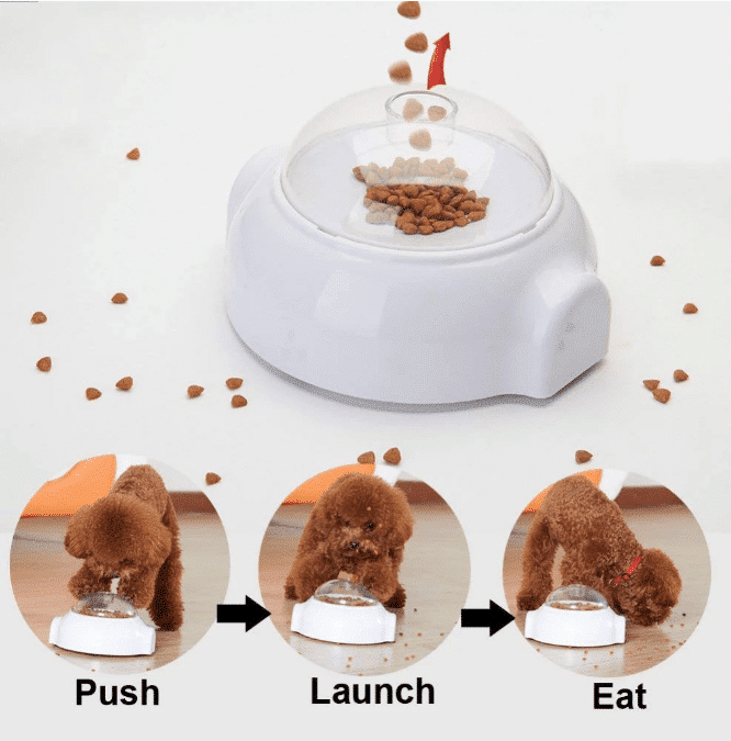Creative Treat aktivitetsleksaker för hundar och katter