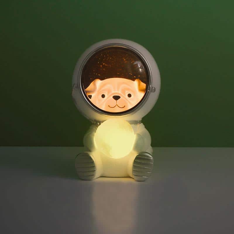 LED Astronaut nattlampa med djur