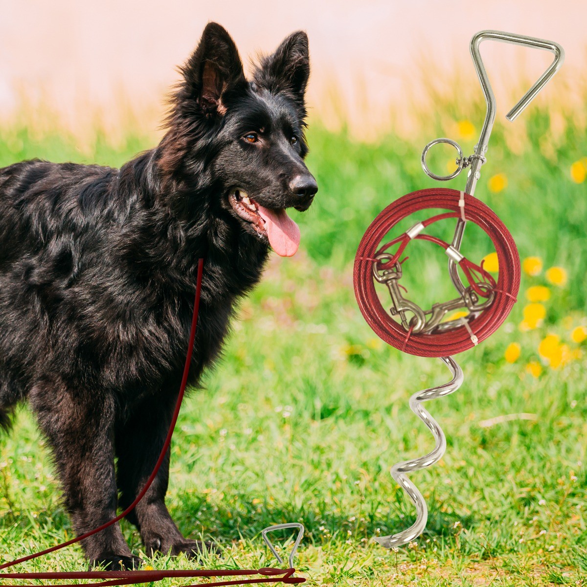 Hundkrok med eller utan tråd