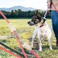 Hundkoppel 2 meter med karbinhake i krom - Rund - ø1 cm -