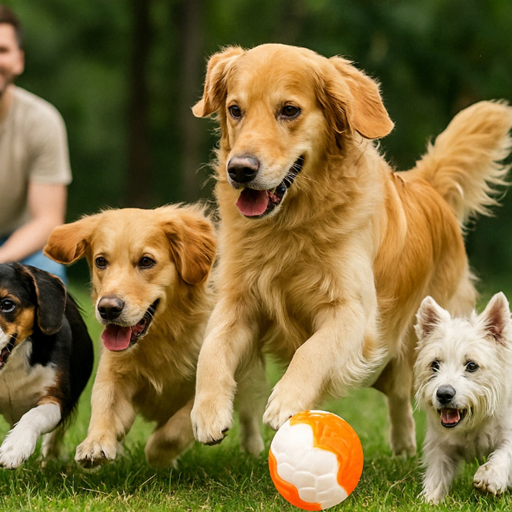 Elastisk hundboll, orange eller blå – rolig och tuggvänlig boll för aktiva hundar