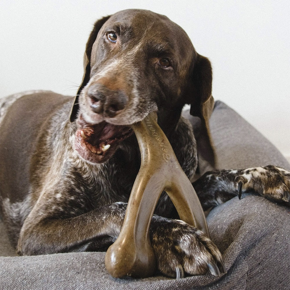 Hundtuggeben med bacon- och kycklingsmak