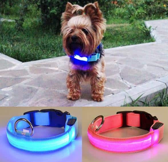 Hundhalsband med LED-lampor