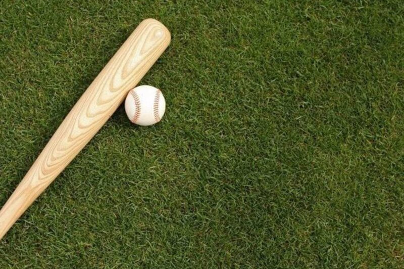 Træ bat inkl. baseball bold